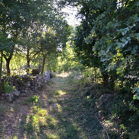 Leopoldo By Istrian Country *