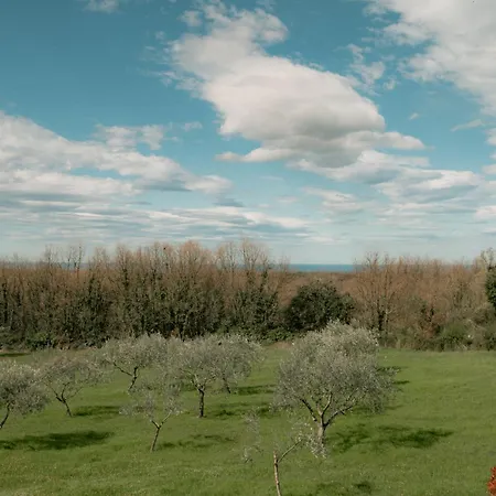 Willa Leopoldo By Istrian Country Barat (Porec)