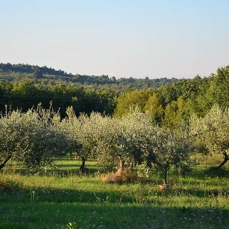 Leopoldo By Istrian Country Barat (Porec)